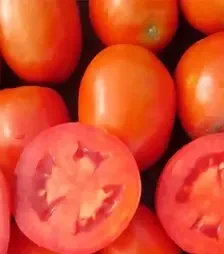 Семена томата Салерно F1, п.е. 1 тыс. семян (Libra Seeds)