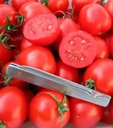 Насіння томату 1606 F1, п.о. 250 насінин (Spark Seeds)