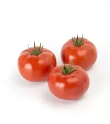 Насіння томату Васанта F1, п.о. 100 насінин (Rijk Zwaan)
