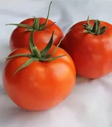 Насіння томату Дуал Лардж F1, п.о. 500 насінин (Ergon)