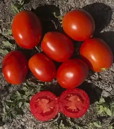 Семена томата 5108 F1, п.е. 500 семян (Heinz)