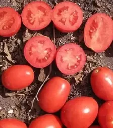 Насіння томату Апгрейд F1, п.о. 1 тис. насінин (Esasem)