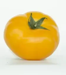 Семена томата Нукси F1, п.е. 500 семян (Kitano Seeds)