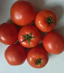 Семена томата Геликаз F1, п.е. 500 семян (Nunhems)