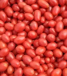 Насіння томату Дольчесіо F1, п.о. 1 тис. насінин (Esasem)