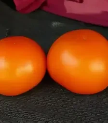 Насіння томату Єллоу Пешен F1, п.о. 1 тис. насінин (Spark Seeds)