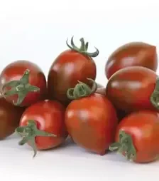 Насіння томату KS 277 F1, п.о. 500 насінин (Kitano Seeds)