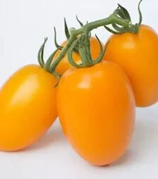 Семена томата КС 1430 F1, п.е. 500 семян (Kitano Seeds)