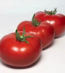 Семена томата КС 301 F1, п.е. 500 семян (Kitano Seeds)