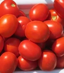 Семена томата Кендрас F1, п.е. 1 тыс. семян (Nunhems)