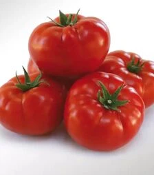 Семена томата КС 206 F1, п.е. 500 семян (Kitano Seeds)