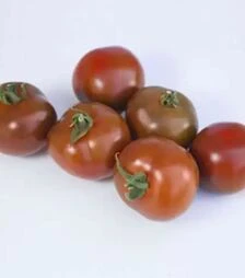 Семена томата КС 3900 F1, п.е. 500 семян (Kitano Seeds)