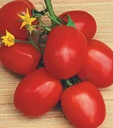 Семена томата Наско 2000, п.е. 10 тыс. семян (Nasko)