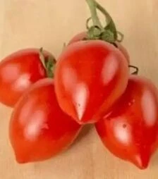Насіння томату Олівія F1, п.о. 1 тис. насінин (United Genetiks)