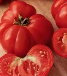 Семена томата Фиорентинский, 500 г (Коуэлл)