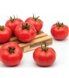 Семена томата Хаэт F1, п.е. 1 тыс. семян (Sakata)