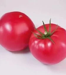 Насіння томату Дімероза F1, п.о. 250 насінин (Vitalis)