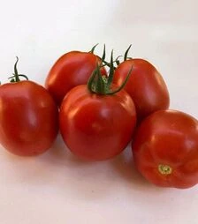 Семена томата Энигма F1, п.е. 250 семян (Spark Seeds)