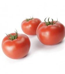 Семена томата Дофу F1, п.е. 1 тыс. семян (Rijk Zwaan)