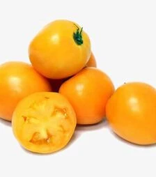 Семена томата Саммер Сан F1, п.е. 250 семян (Hazera)