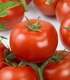 Семена томата Ронда F1, п.е. 500 семян (Ergon)