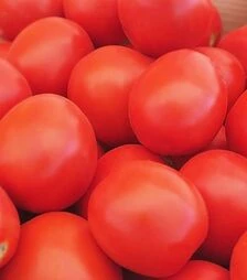 Семена томата Баста F1, п.е. 25 тыс. семян (Clause)