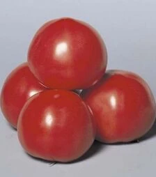 Семена томата Пинк Парадайз F1, п.е. 500 семян (Sakata)