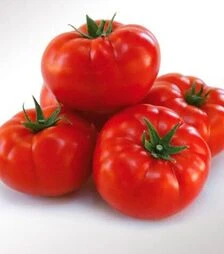Насіння томату 1503 F1, п.о. 5 тис. насінин (Spark Seeds)