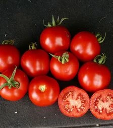 Семена томата Шаста F1, п.е. 10 тыс. семян (Lark Seeds)