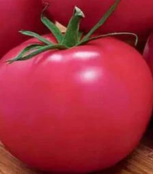 Семена томата Пинк, 100 г (Коуэлл)