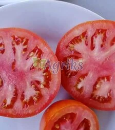 Семена томата Ред Булл F1, п.е. 1 тыс. семян (Solare Sementi)