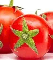 Семена томата Прегиато F1, п.е. 1 тыс. семян (Cora Seeds)