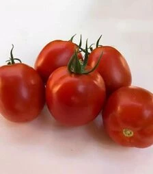 Насіння томату Енігма F1, п.о. 1 тис. насінин (Spark Seeds)