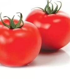 Семена томата Адриатика F1, п.е. 100 семян (Sakata)