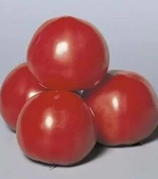 Семена томата Пинк Парадайз F1, п.е. 100 семян (Sakata)