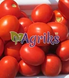 Насіння томату Кендрас F1, п.о. 25 тис. насінин (Nunhems)