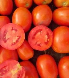 Семена томата Салерно F1, п.е. 5 тыс. семян (Libra Seeds)