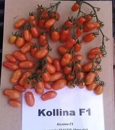 Семена томата Колина F1, п.е. 50 семян (Esasem)