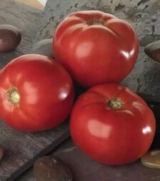 Семена томата Белла Роса F1, п.е. 500 семян (Sakata)