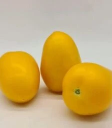 Семена томата КС 221 F1, п.е. 500 семян (Kitano Seeds)