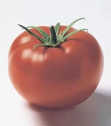 Насіння томату Джем F1, п.о. 500 насінин (Ergon)