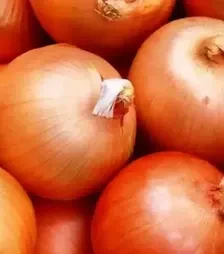 Насіння ріпчатої цибулі Братко F1, п.о. 250 тис. насінин (Syngenta)