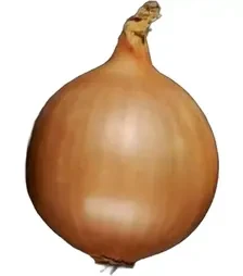 Насіння ріпчатої цибулі Насіння цибулі Дормо F1, п.о. 250 тис. насінин (Hazera)