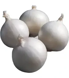 Семена репчатого лука Гледстоун, п.е. 10 тыс. семян (Bejo)