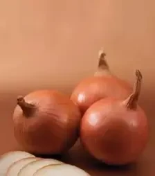 Семена репчатого лука Боско F1, п.е. 250 тыс. семян (Syngenta)