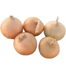 Насіння ріпчатої цибулі Радар, п.о. 250 тис. насінин (Bejo)