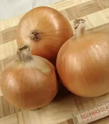 Семена репчатого лука Болеро F1, п.е. 25 тыс. семян (Болеро F1)