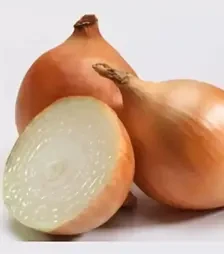 Насіння ріпчатої цибулі Ятоба F1, п.о. 250 тис. насінин (Ятоба F1)