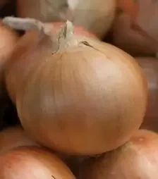 Семена репчатого лука Барусо F1, п.е. 250 тыс. семян (Syngenta)