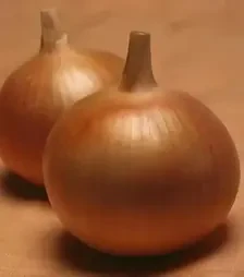 Семена репчатого лука Бонус F1, п.е. 250 тыс. семян (Takii Seed)